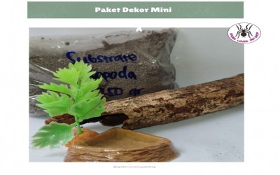 PAKET DEKOR MINI